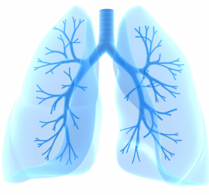 TRIBUTE-Studie: Evidenz für die Dreifach-Therapie bei COPD-Patienten
